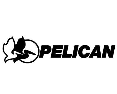 Pelican